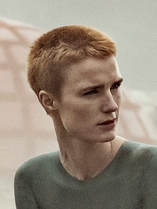 Póster Amanda Collin