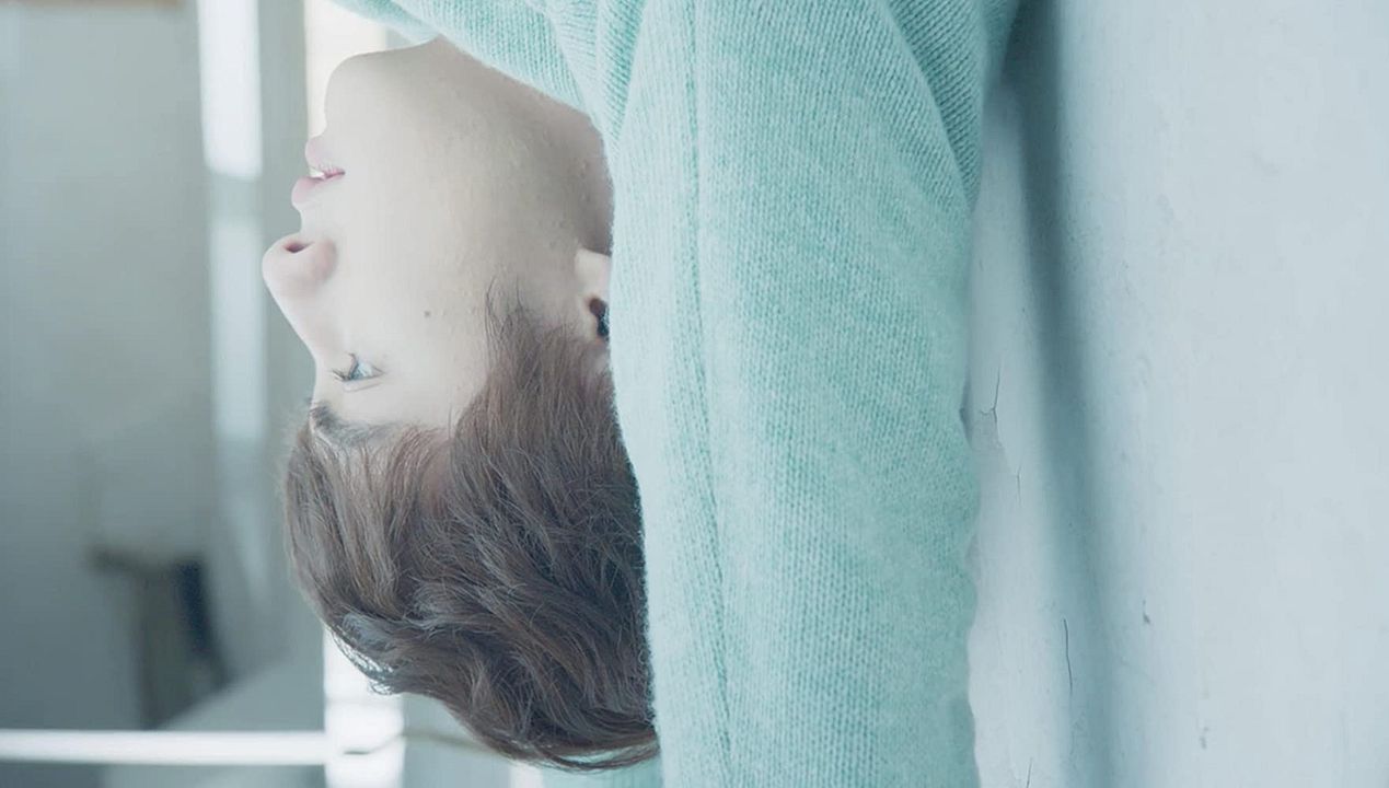 Jardín de meteoros : Póster