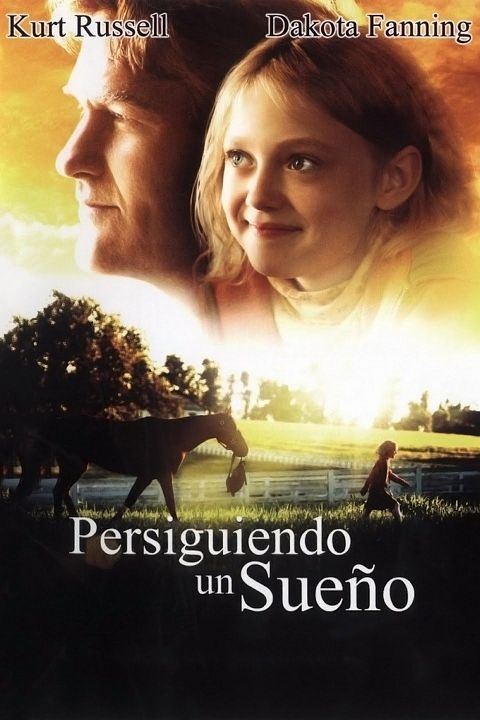 Persiguiendo un sueño : Póster