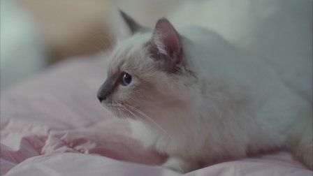 Porque esta es mi primera vida : Póster