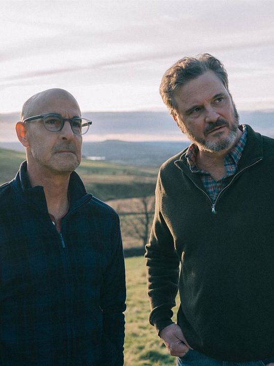 Un amor memorable : Póster