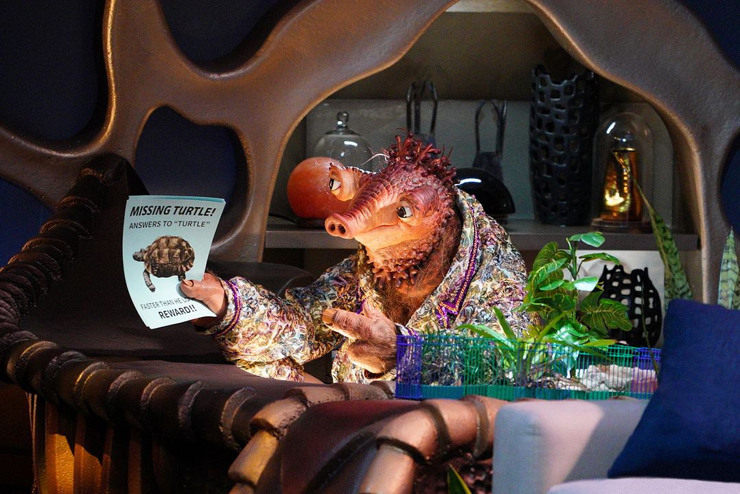 Llamando a Ned : Foto