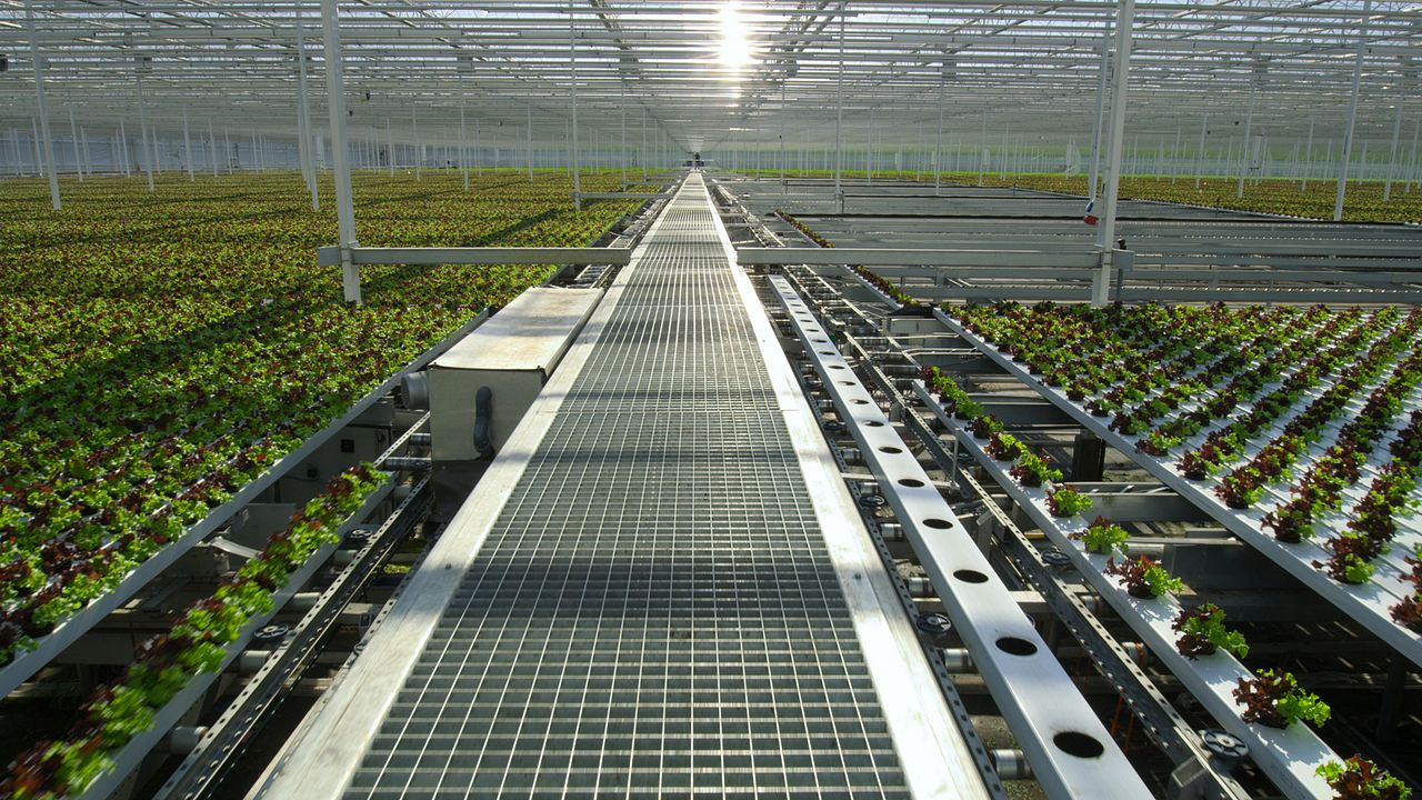 David Attenborough: Una vida en nuestro planeta : Foto