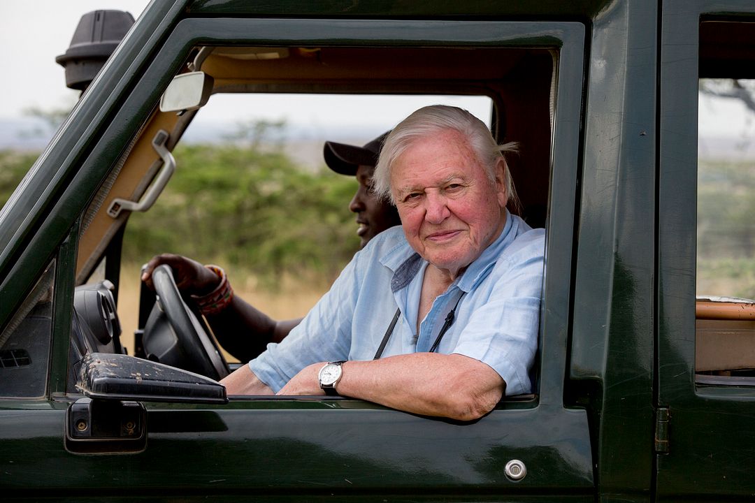 David Attenborough: Una vida en nuestro planeta : Foto