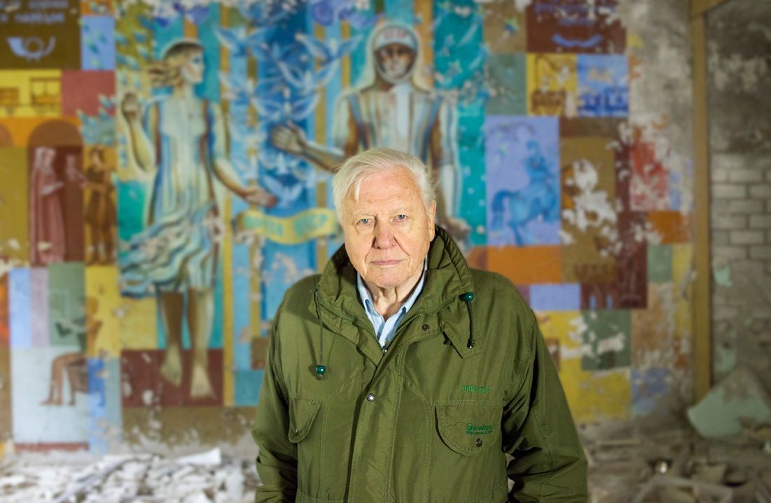 David Attenborough: Una vida en nuestro planeta : Foto