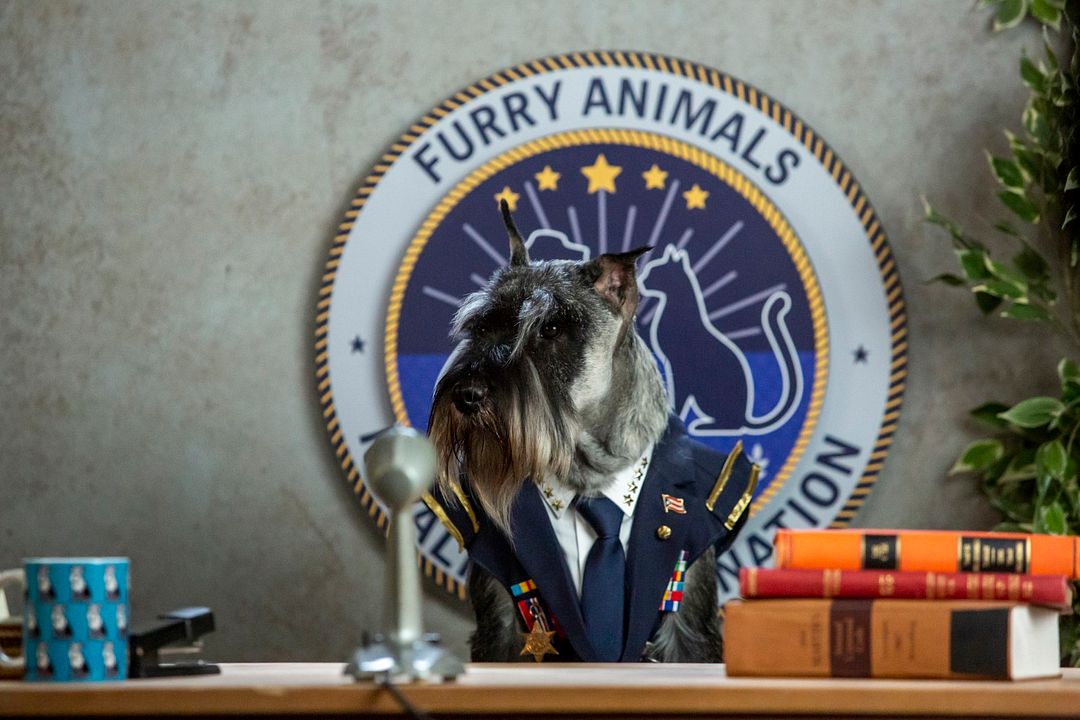 Como perros y gatos 3: Patas unidas : Foto