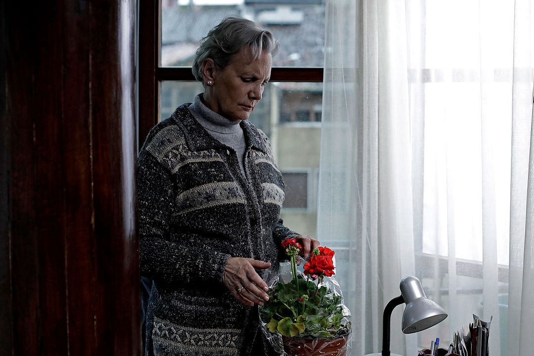 Patria : Foto Elena Irureta