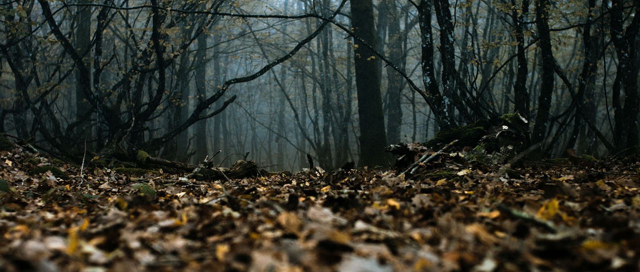 Anonymous Animals : Foto