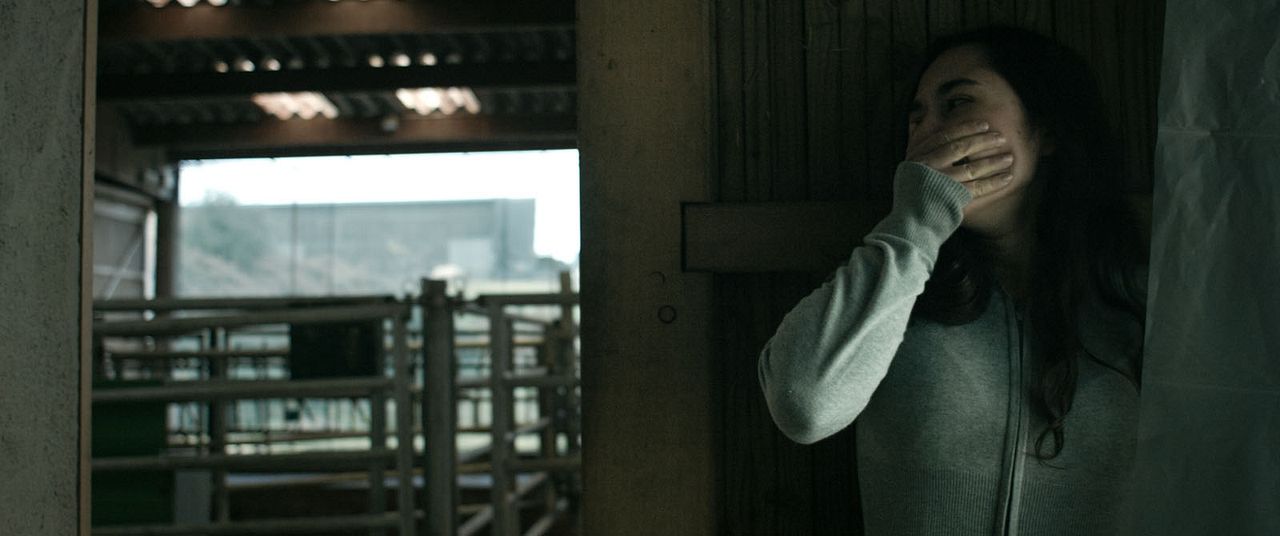 Anonymous Animals : Foto