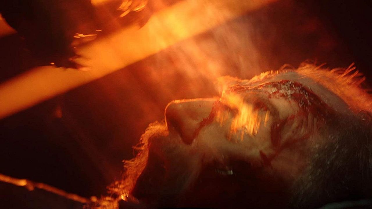 En la oscuridad : Foto