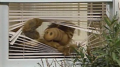 ALF : Póster