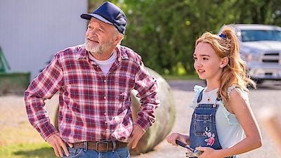 Holly Hobbie : Póster