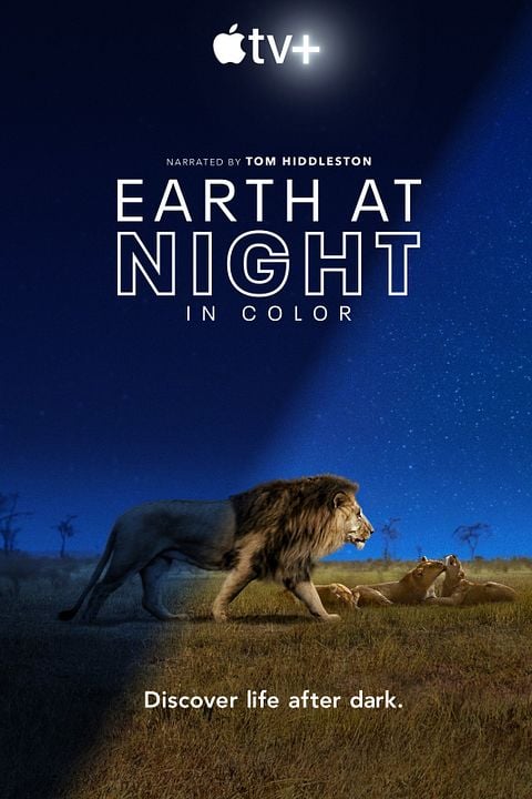 Earth At Night In Color : Póster