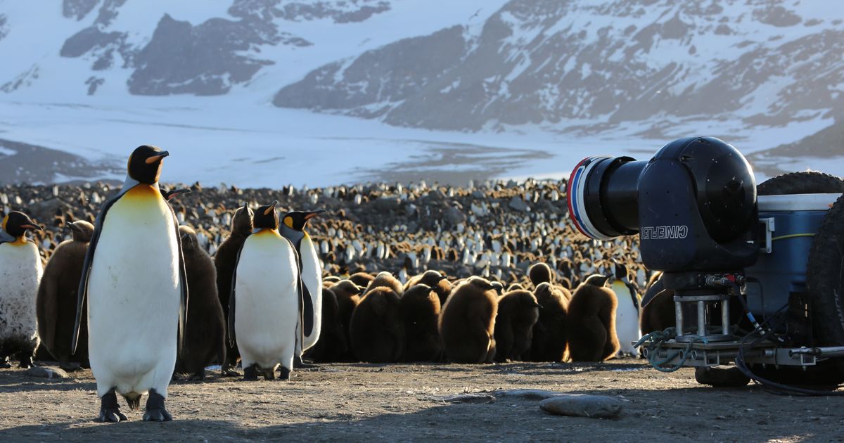 Our Planet: Behind the Scenes : Foto