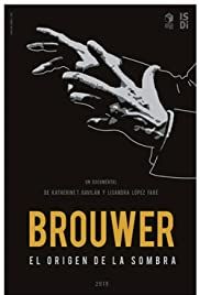 Brouwer. El origen de la sombra : Póster