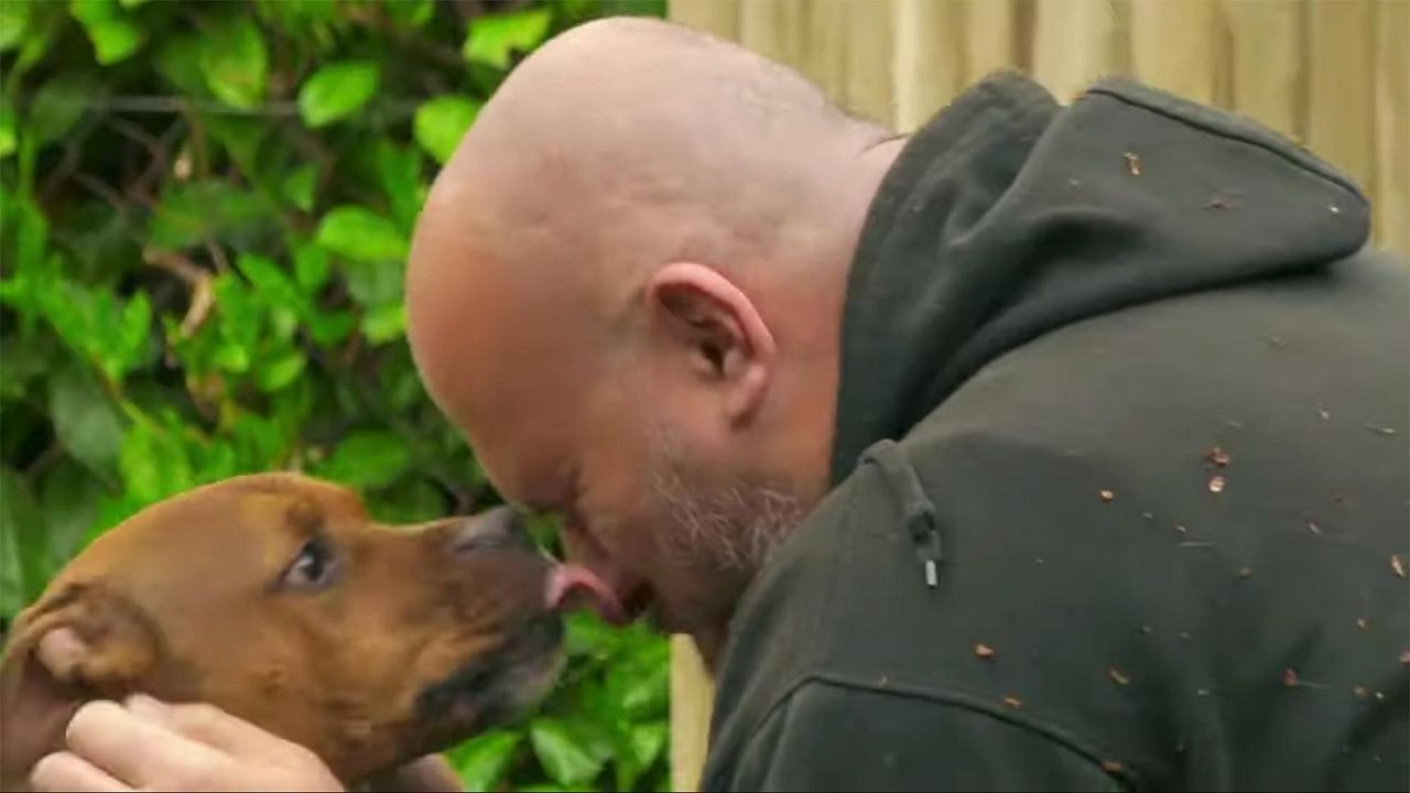 The Dog House : Póster