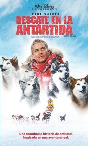 Rescate en la Antártida : Póster