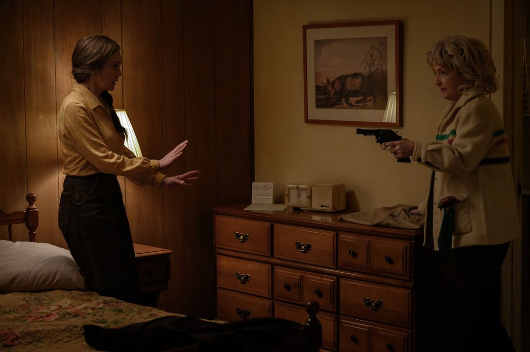 Déjalo Ir : Foto Diane Lane