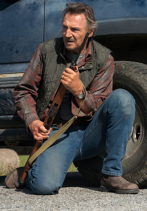 El protector : Foto Liam Neeson