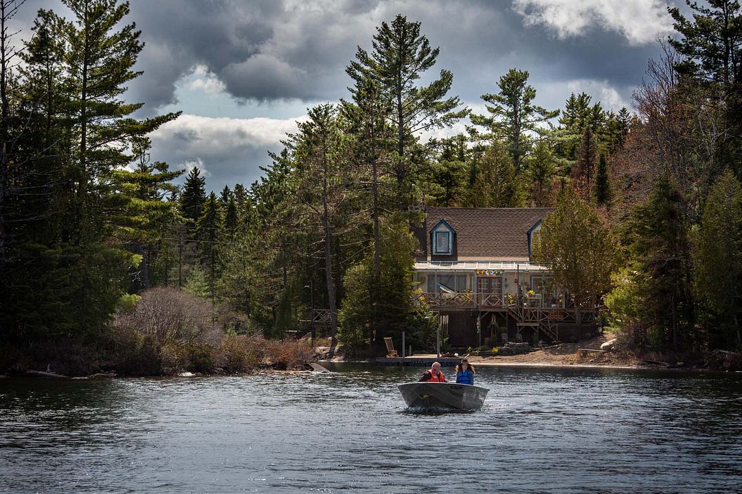 The Wolf and the Lion : Foto