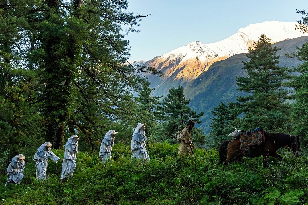 Narciso negro : Foto