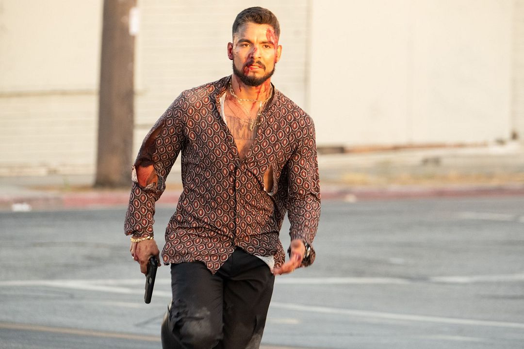 El recolectador : Foto