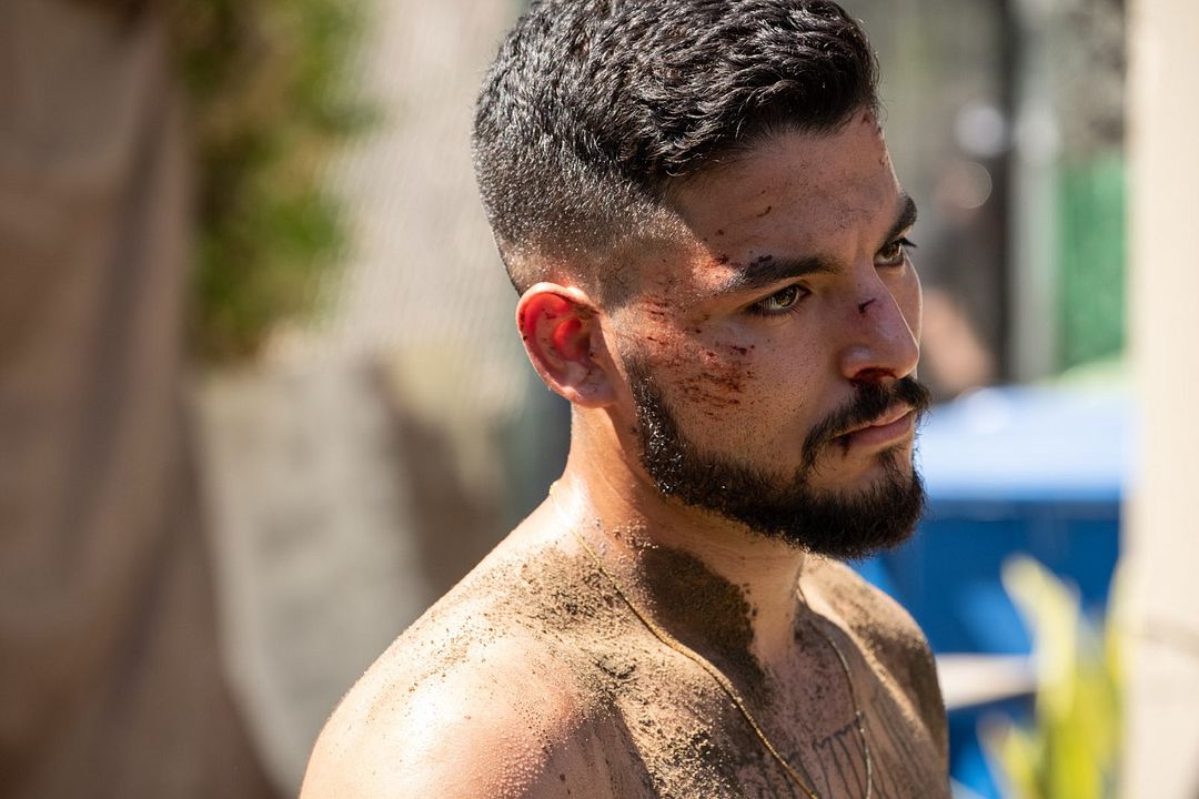 El recolectador : Foto