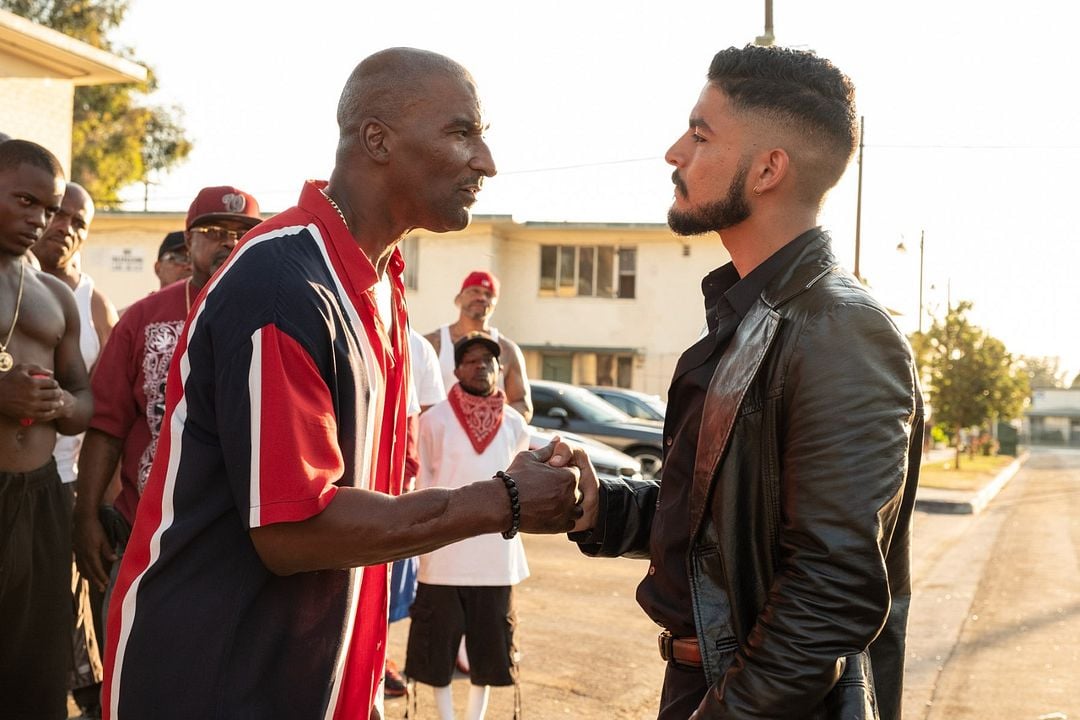 El recolectador : Foto