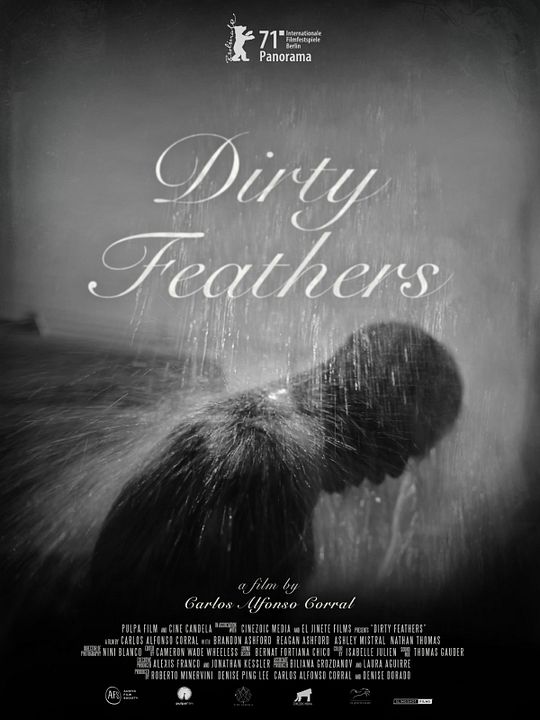 Dirty Feathers : Póster