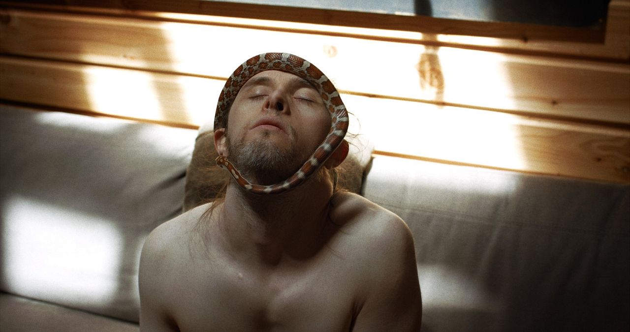 Theo and the Metamorphosis : Foto