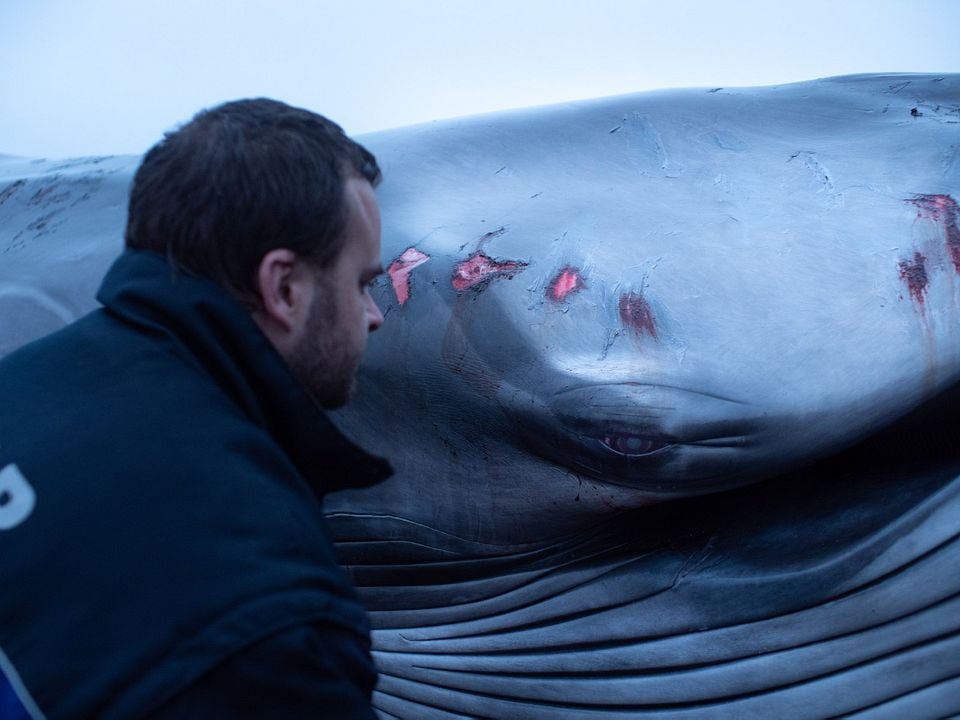 Fra det vilde hav : Foto