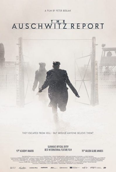 The Auschwitz Report : Póster