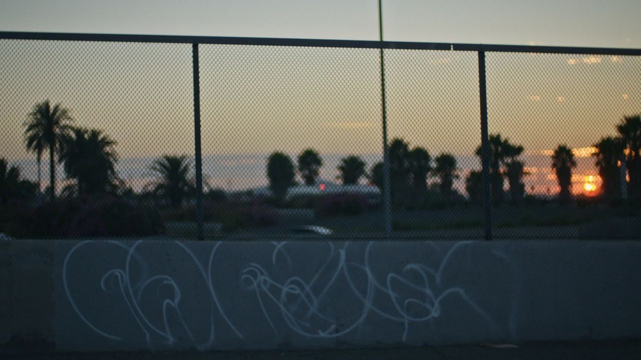 ¿Por qué me mataron? : Foto