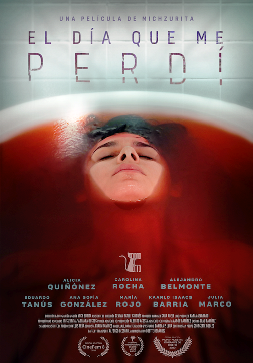 El día que me perdí : Póster