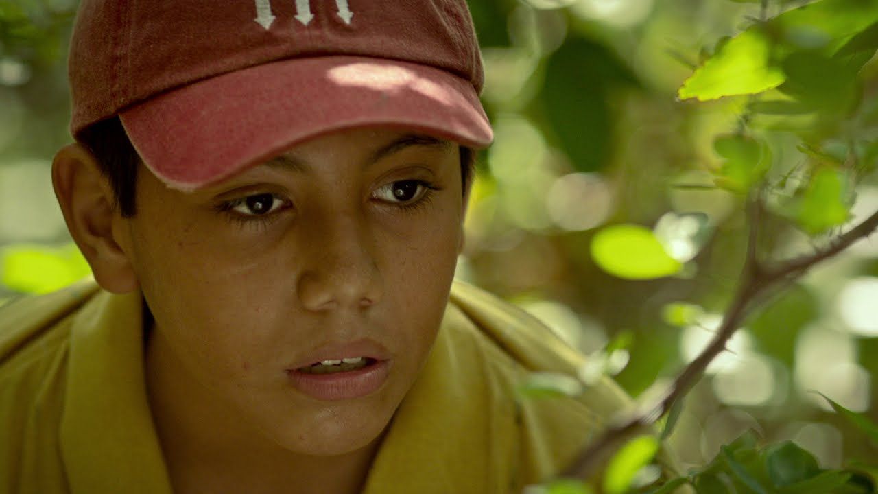 Todo en juego : Foto