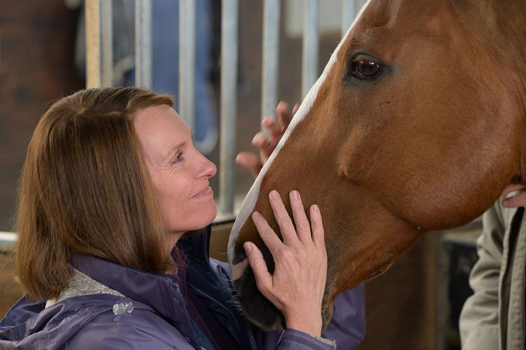 Dream Horse : Foto Toni Collette