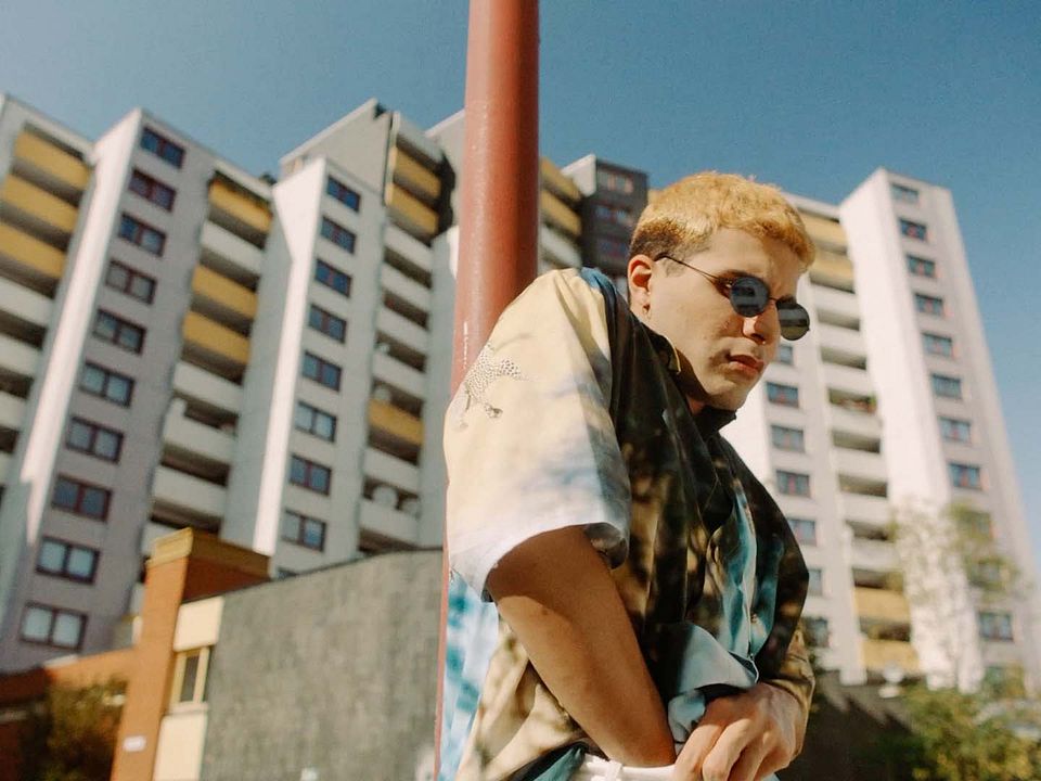 No Hard Feelings : Foto