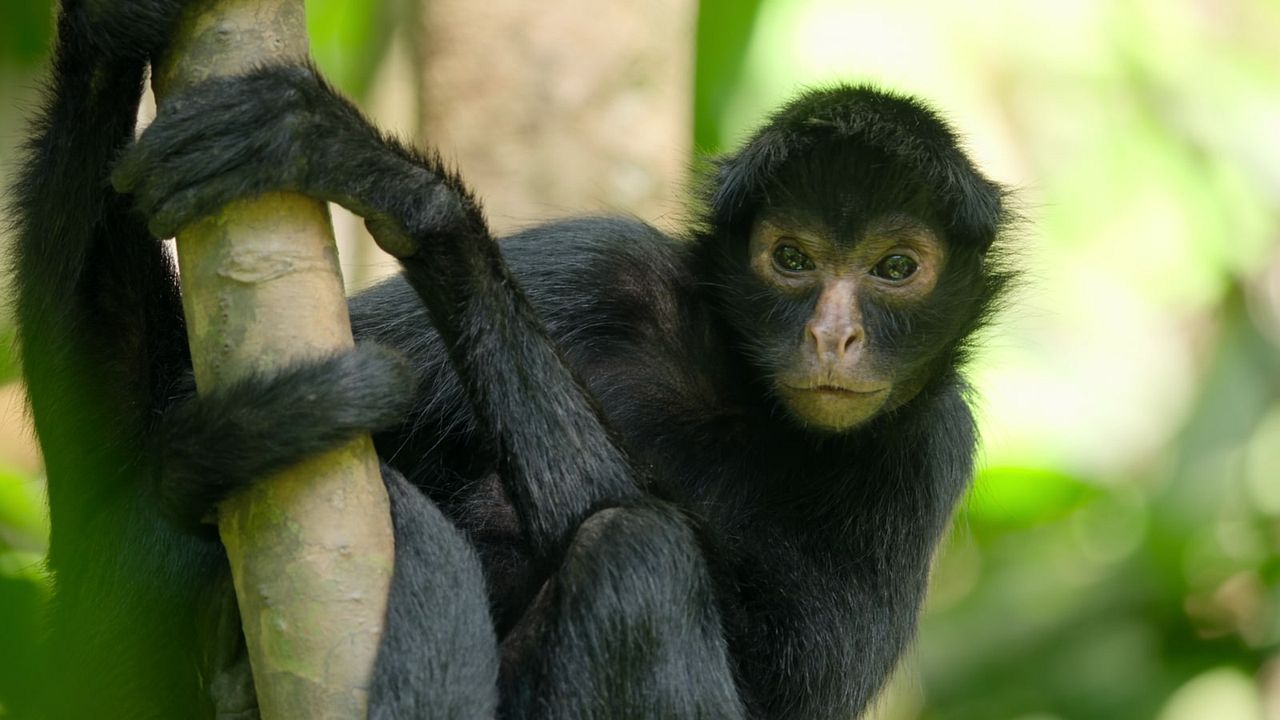 Romper los límites: La ciencia de nuestro planeta : Foto
