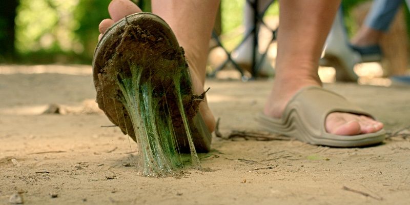 Scare Package : Foto