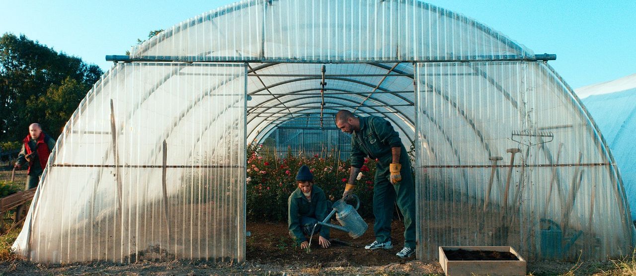 The Rose Maker : Foto