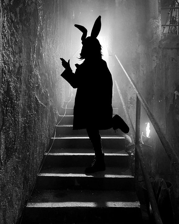 Borderlands : Cobertura de revista