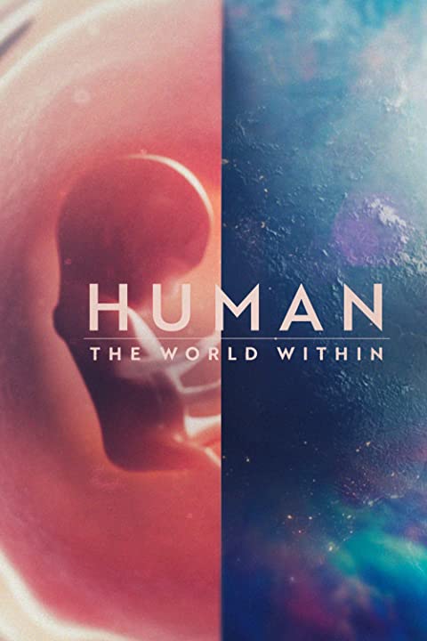 Cuerpo Humano: Un mundo entrañable : Póster