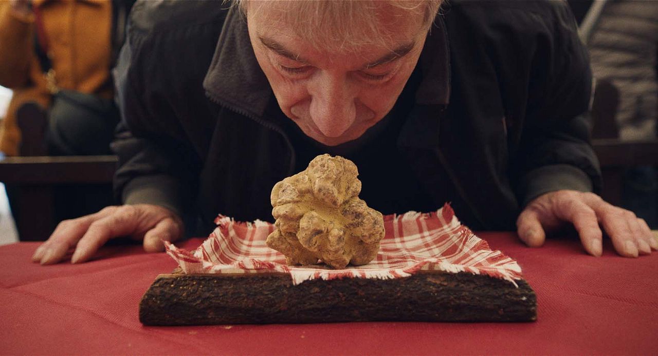 The Truffle Hunters : Foto