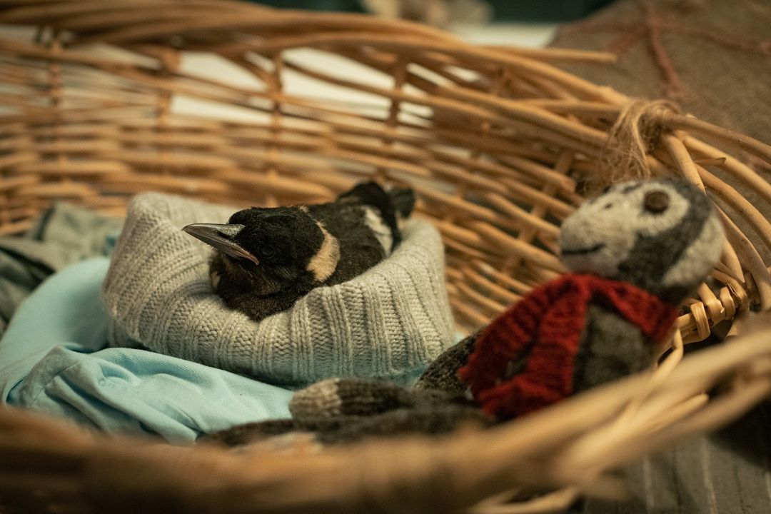 Un milagro inesperado : Foto