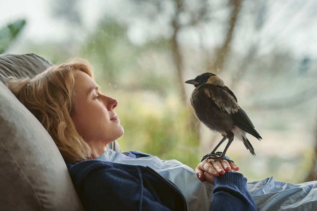 Un milagro inesperado : Foto Naomi Watts