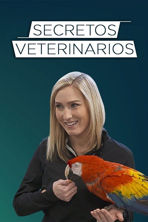 Secretos veterinarios : Póster