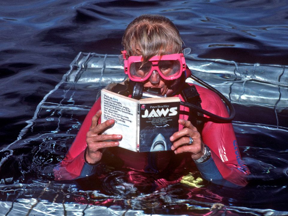 Jugando con tiburones : Foto