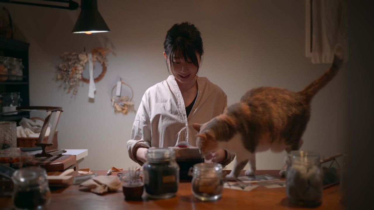 Gente de Gatos : Foto