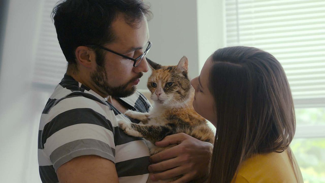 Gente de Gatos : Foto