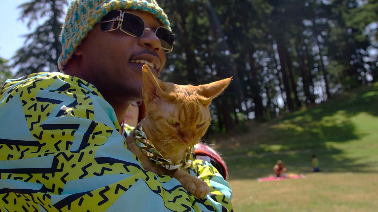 Gente de Gatos : Foto